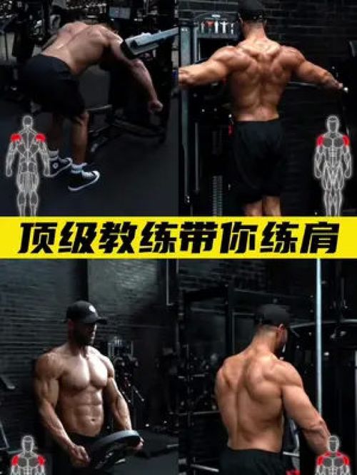 健身 运动
