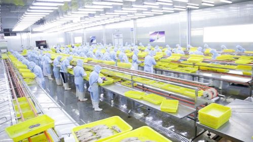 新质供给助外贸工厂成功转内销 85后海归拼多多卖鱿鱼仔年销千万