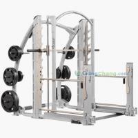 双行斯密斯机CF-3754/广州健身器材厂家[供应]_健身器材_世界工厂网中国产品信息库