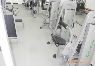 【专业型PVC运动塑胶地板 健身馆专用系列】价格,厂家,图片,塑料、塑胶、橡胶地板,吴江市伯特利建材-